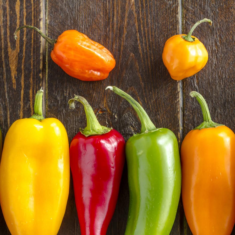 Peperoni, colori e gusto per l'estate